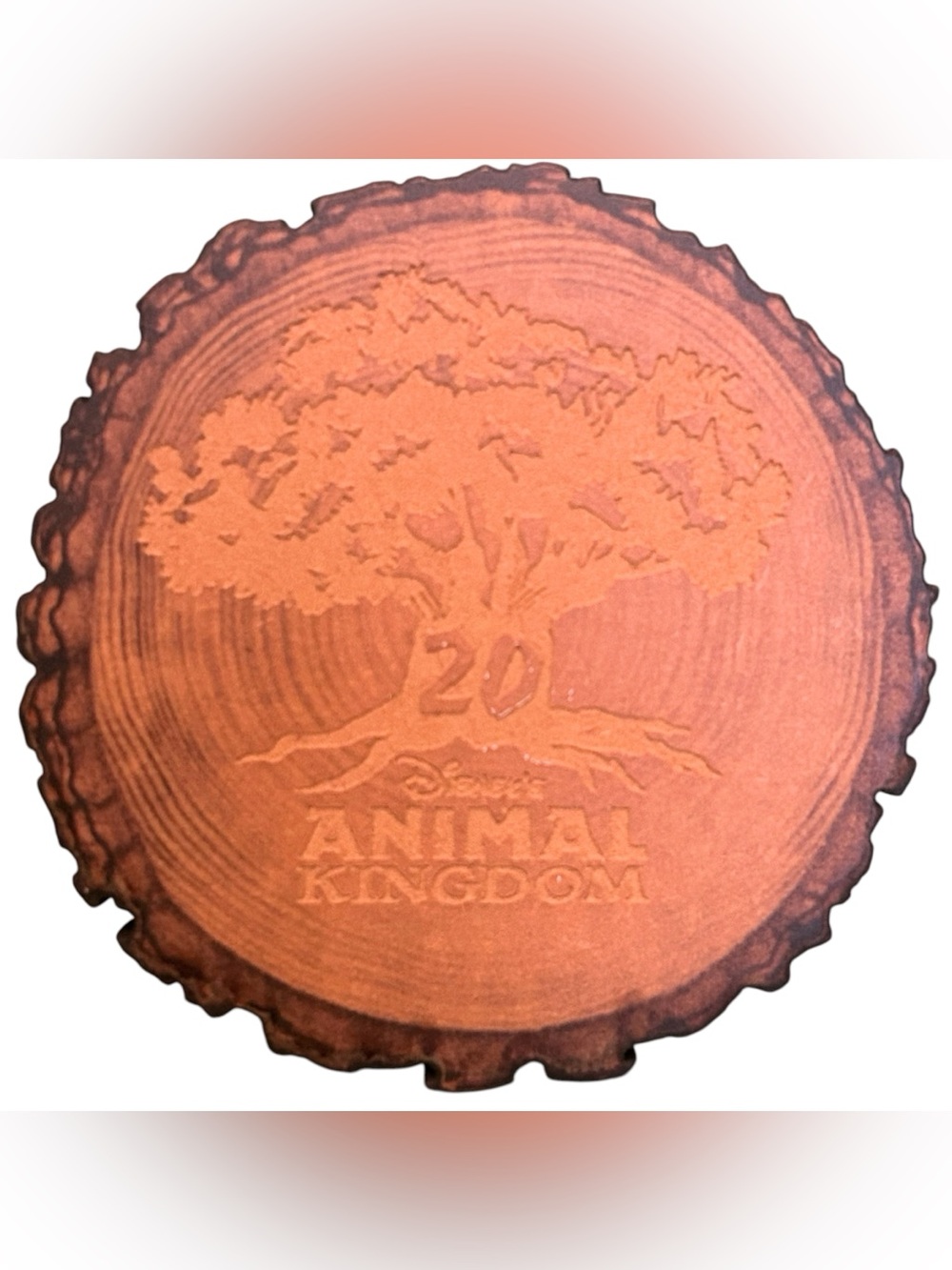 Walt Disney World Animal Kingdom 20th Anniversary Tree of Life Wood Ring Magnet